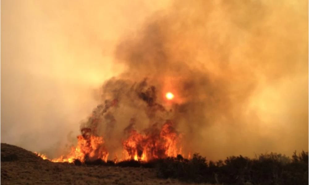 Αργεντινή: "Παραδίνεται" στην πύρινη λαίλαπα η χώρα